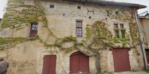 Maison anciennes avec de la vigne vierge